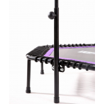 Фитнес-батут с ручкой BASEFIT TR-401, 101 см, цвет фиолетовый
